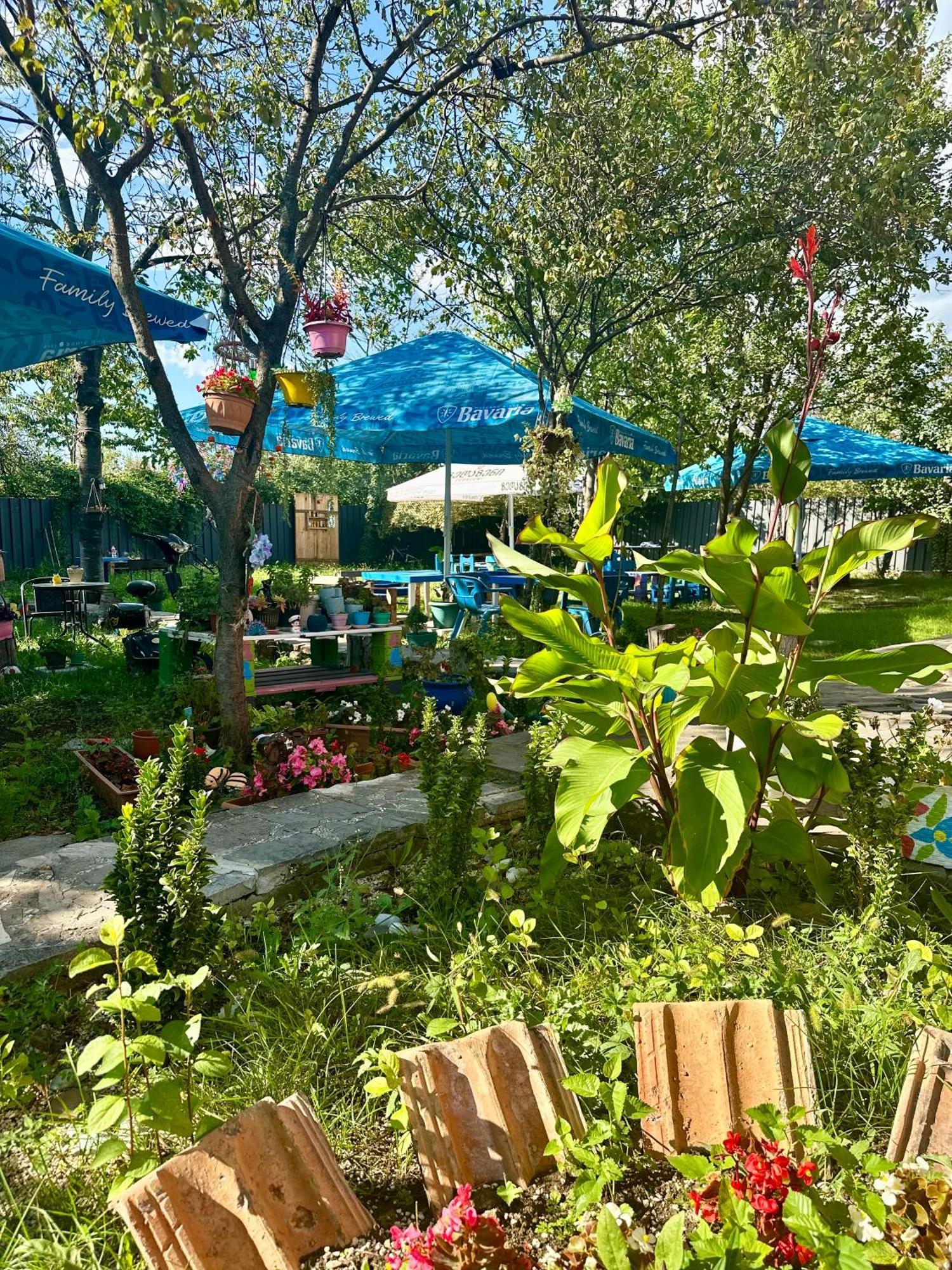 Napoli Nataxtari Hotel,Pool,Bar,Kamping Natakhtari 外观 照片